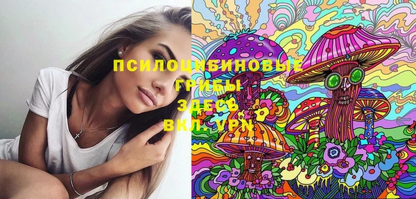 MDMA Алексеевка