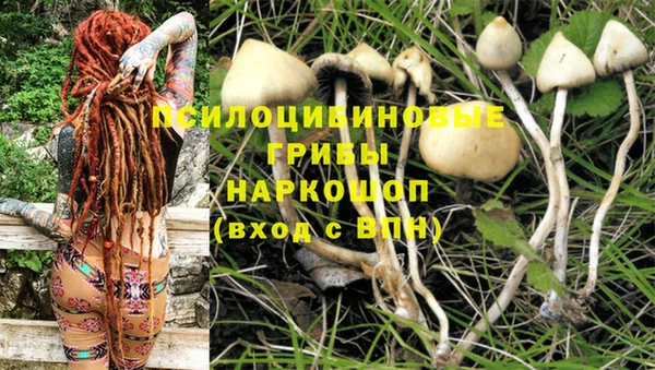 наркотики Алексин