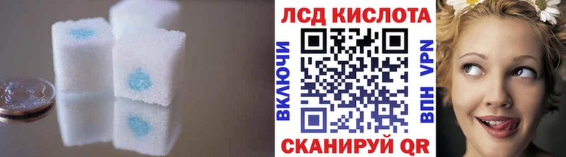 LSD-25 экстази кислота блэк спрут рабочий сайт Петушки магазин продажи